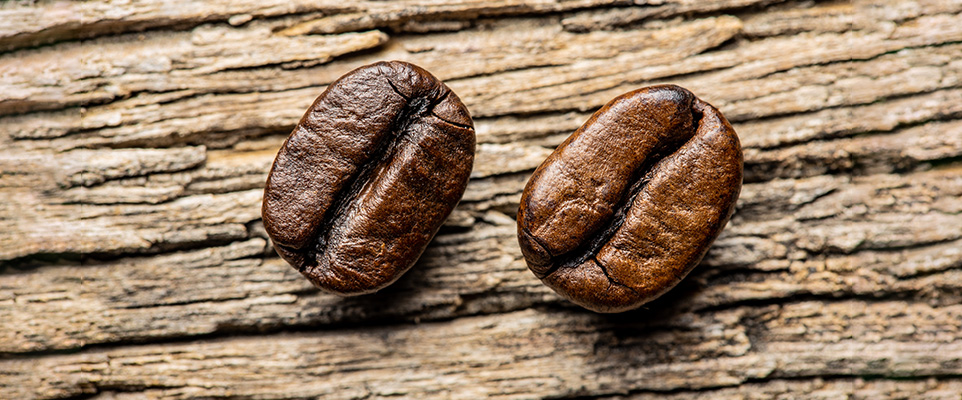 Arabica - Robusta Farkları Nelerdir?